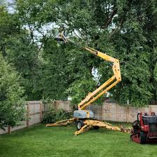 Best Commercial Tree Services  in Highland, MD